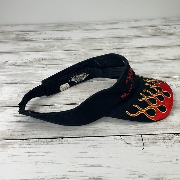 STURGIS 2009 Black Hills Rally visor - Picture 5 of 6